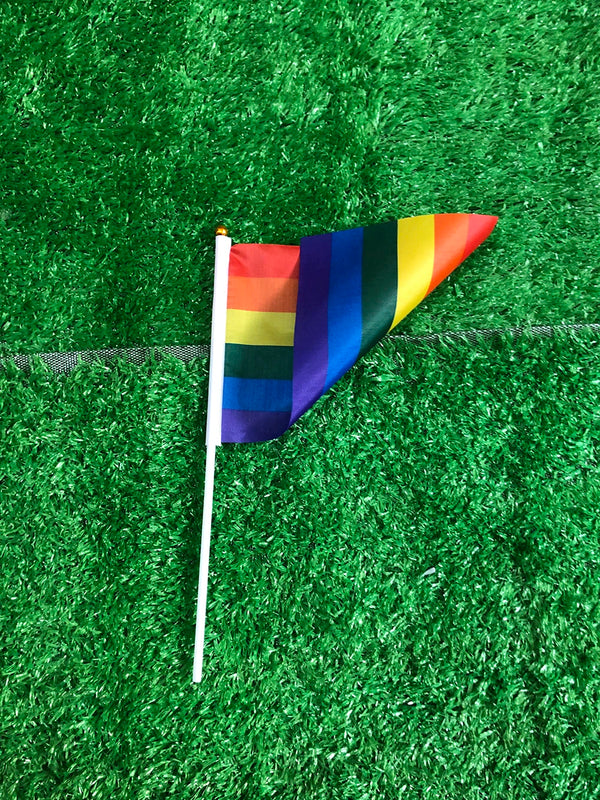 SKY-FLAG-LGBT-Hand-Flag-14x21Cm-Rainbow-Hand-Flag-Gay-Lesbian-Homosexual-Bisexual-Pride-Hand-Flag.png